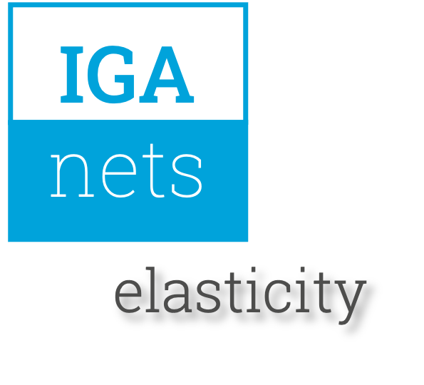 iganet::elasticity